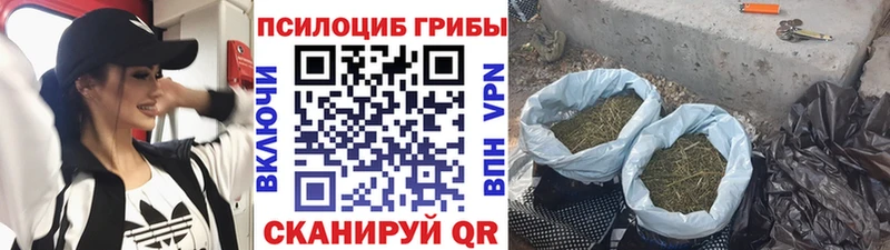 Галлюциногенные грибы мухоморы Купить закладки Донской